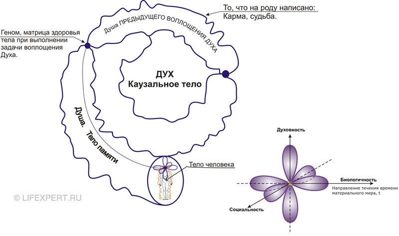 Реинкарнация - переселение души - перевоплощение. Что это?! Подробный ответ 02a76d28fe5ec93513abd9896c49b834