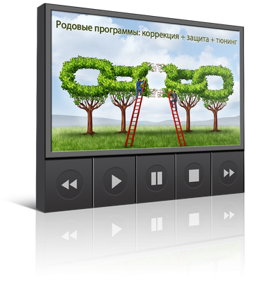 Отношения мужчина и женщина вебинар Отношения мужчина и женщина вебинар