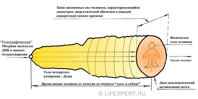 [Изображение: 222aef513526d5a57895f539717490a1.jpg]