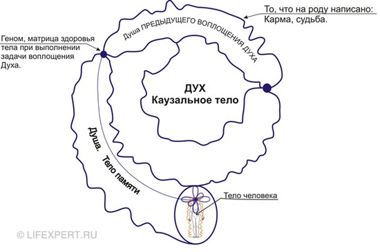 Чакры человека и их значение! Детальное описание чакр 2a9b5152f5d73491c7300fe5fbf0338e