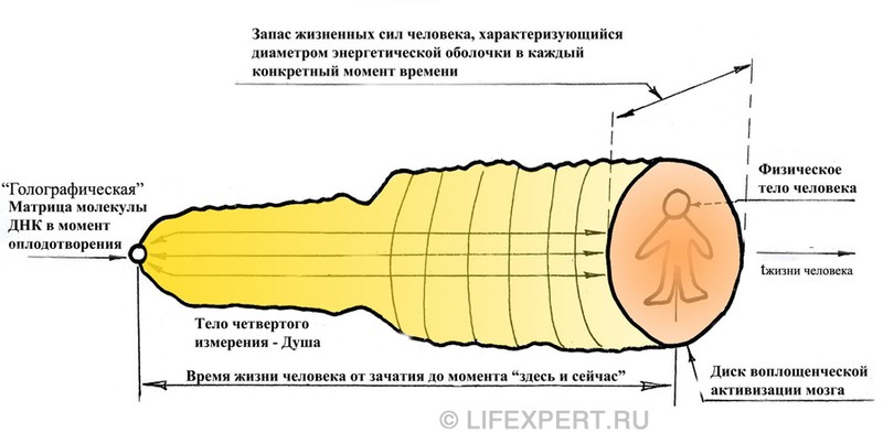 Реинкарнация - переселение души - перевоплощение. Что это?! Подробный ответ 4d335730eace7d92d98977bbec7b9649