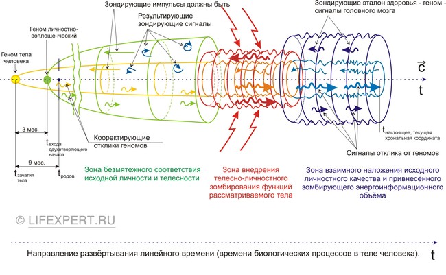 Реинкарнация - переселение души - перевоплощение. Что это?! Подробный ответ 5a135c894ce71a533fdc0764299ee7d9