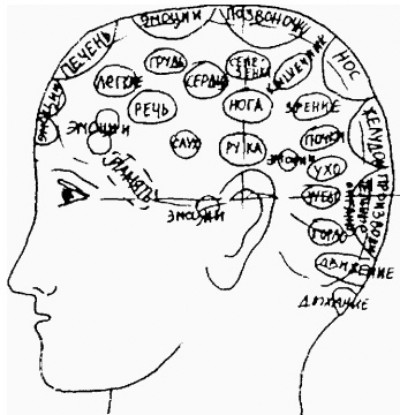 Функциональные зоны мозга по Дюрвилю