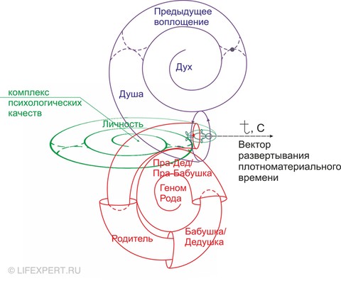 семейные расстановки