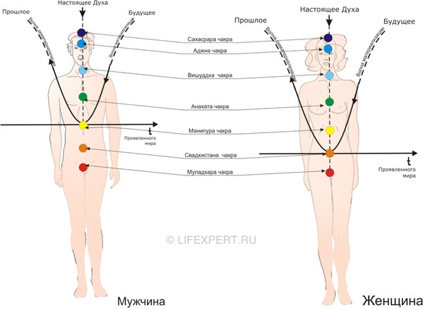 Чакры человека и их значение!  63e53c509b62352b93c82cf77b234dec