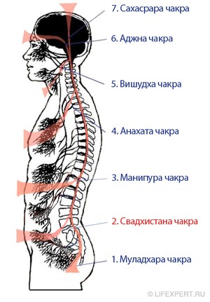 свадхистана чакра вторая расположение, где находится