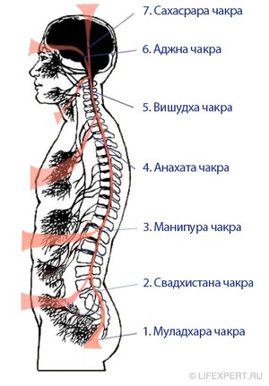 http://www.lifexpert.ru/media/cache/17/b1/17b1dc375011d1f7aaccce6e9ac7758d.jpg
