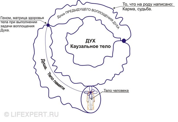 в чем смысл жизни человека