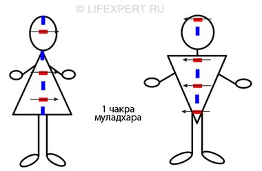 поляризация 1 первой чакры муладхара у мужчин и женщин