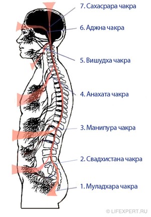 расположение чакр на теле человека