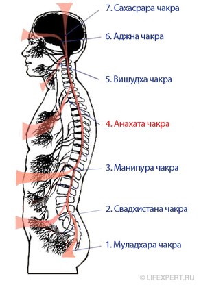 анахата чакра сердечная расположение, где находится