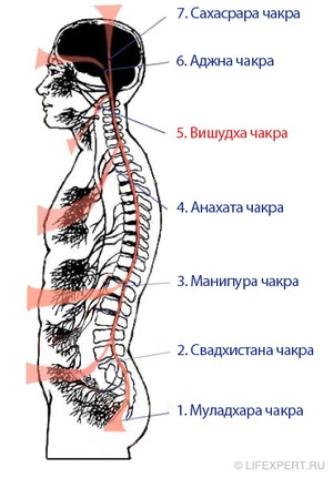 вишудха чакра пятая расположение, где находится