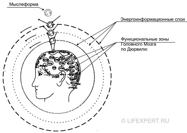 Мыслеформы это. Функциональные зоны мозга (Дюрвиля. Зоны Дюрвиля схема. Энергоинформационные зоны на голове. 32 Точки на голове бары схема на русском для самостоятельной работы.