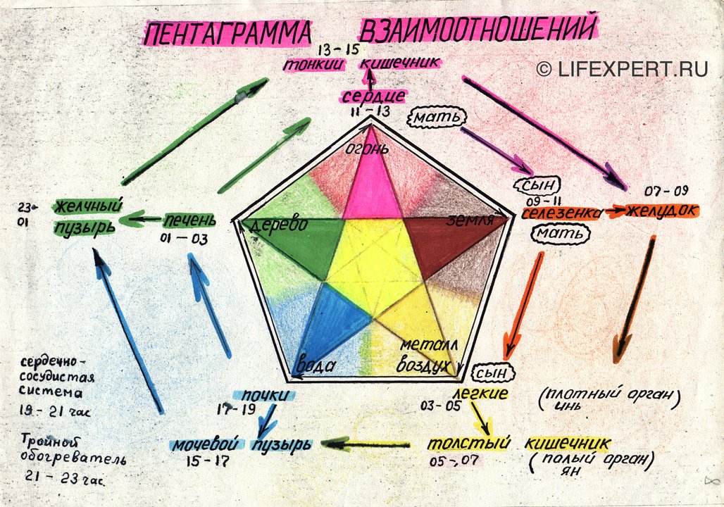 5 элементов человека