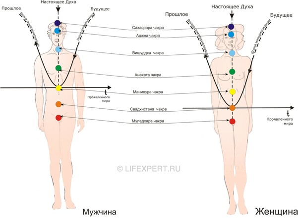 чакры у мужчин и женщин