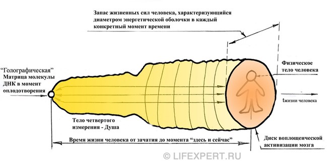 в чем смысл жизни